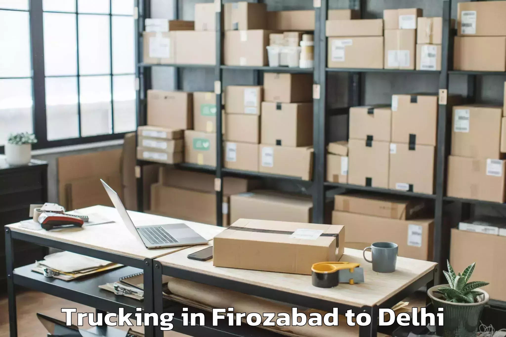 Book Firozabad to Rajouri Garden Trucking Online